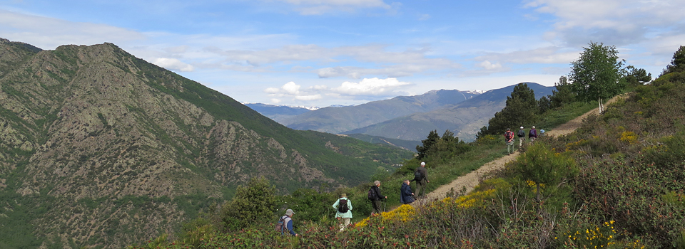 Butterflies & Botany of The French Pyrenees