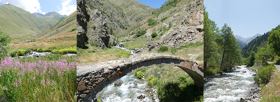Butterflies of the Kaçkars in Turkey