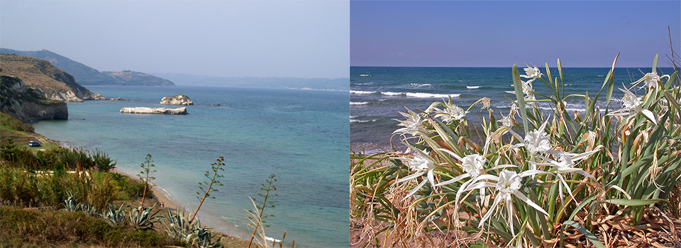 Mediterranean Autumn in Crete