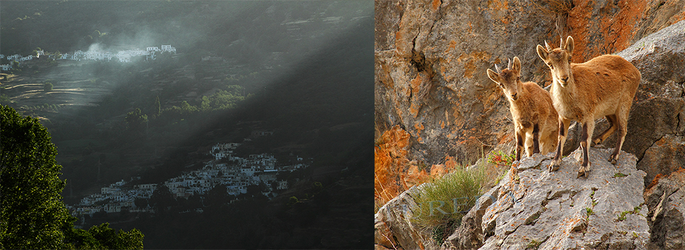 Sierra Nevada: The Alhambra and the Alpujarra