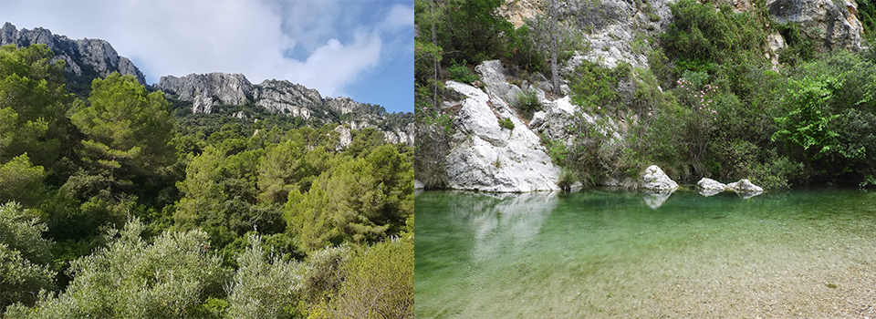Valencia in Autumn: butterflies, birds & dragonflies