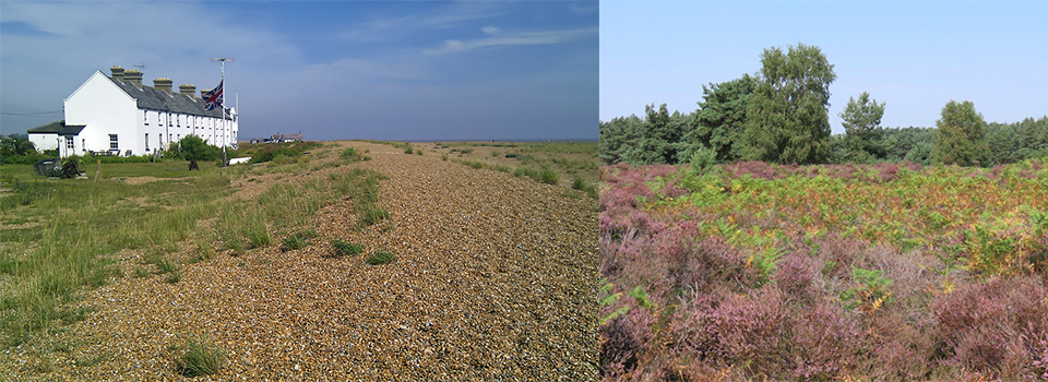 From heaths to the coast, the wild side of Suffolk off the beaten track