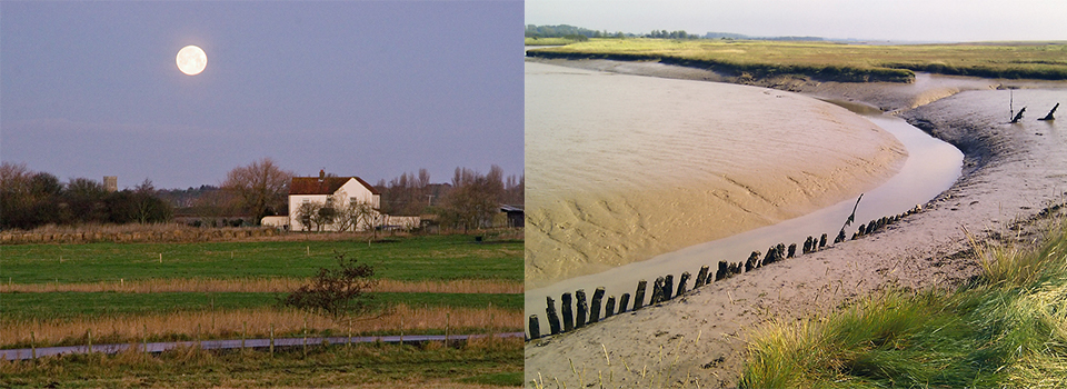 A Year in the south Suffolk Sandlings: The Blasted Heath & the Wild North Sea