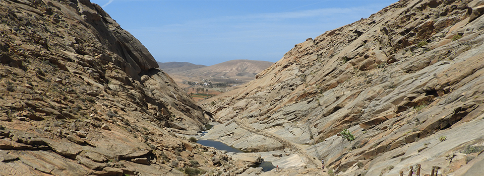 Fuerteventura: Birds + Bonus Butterflies