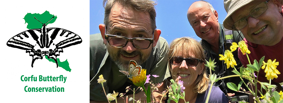 Butterflies of Corfu