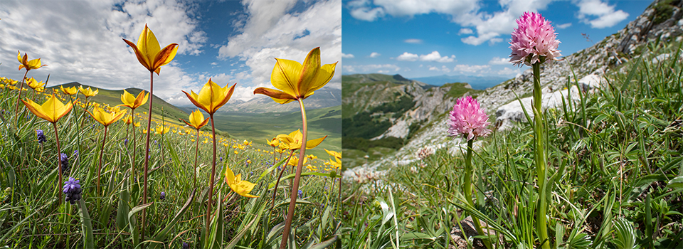 Sibillini – An Apennine Paradise
